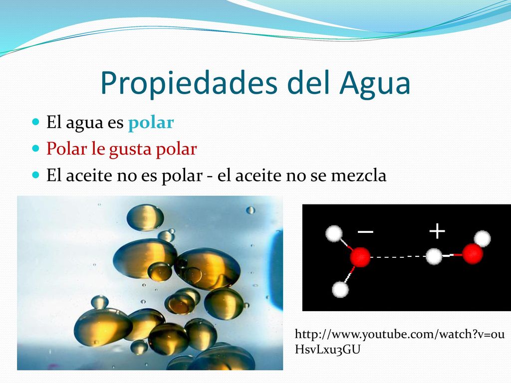 Propiedades del Agua El agua es polar Polar le gusta polar