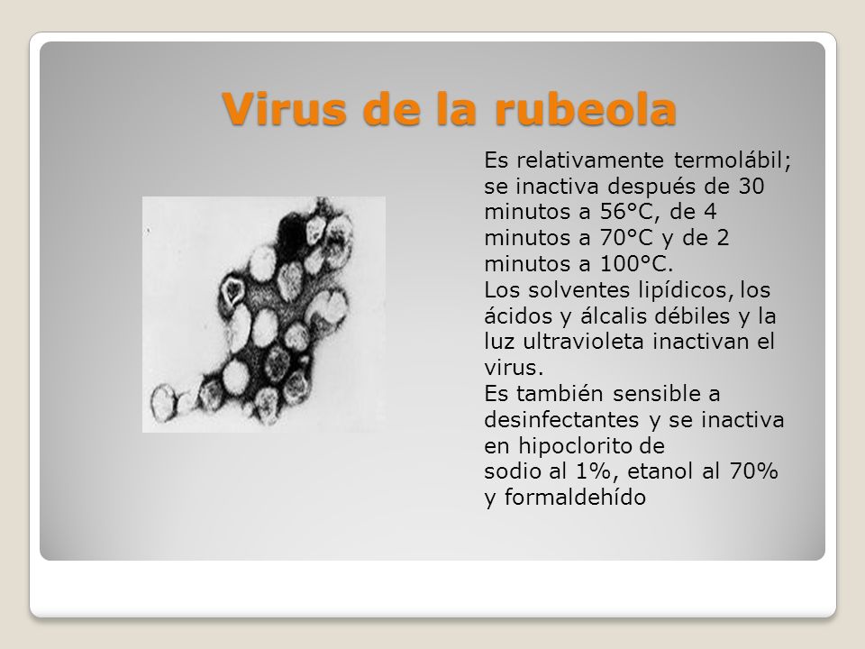 Virus de la rubeola Es relativamente termolábil; se inactiva después de 30 minutos a 56°C, de 4 minutos a 70°C y de 2 minutos a 100°C.