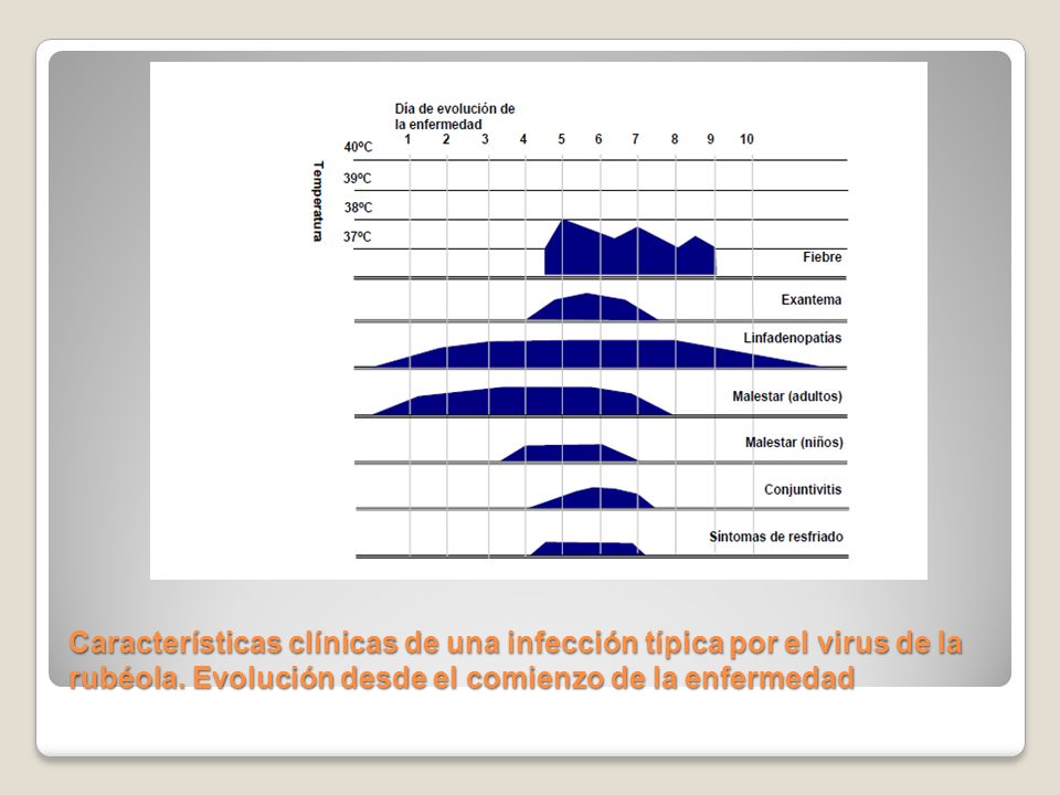 Características clínicas de una infección típica por el virus de la rubéola.