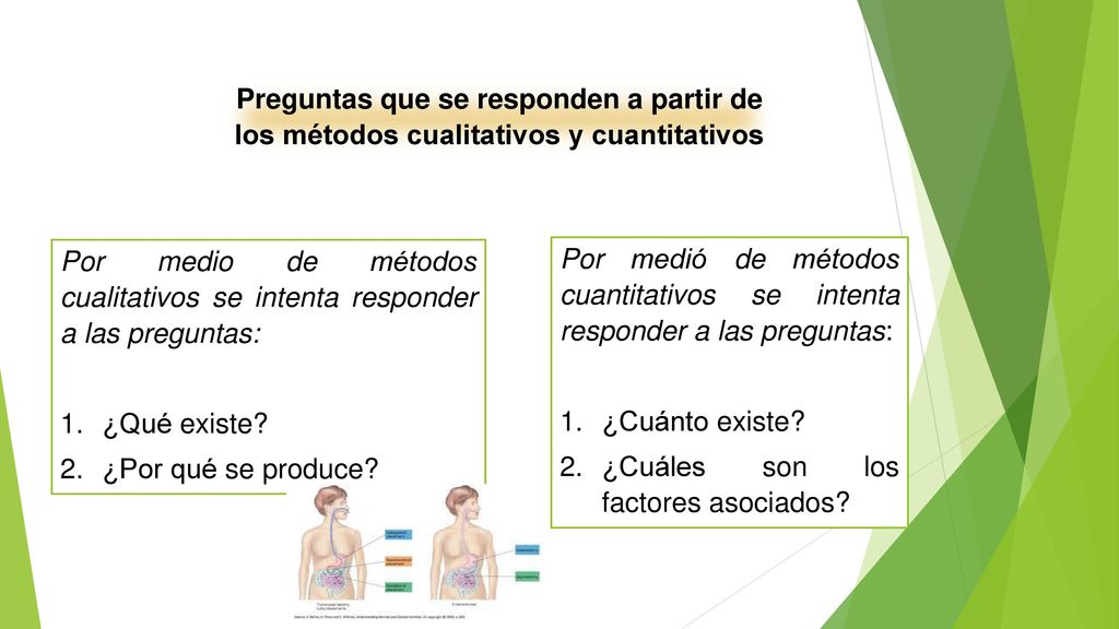 Preguntas que se responden a partir de los métodos cualitativos y cuantitativos