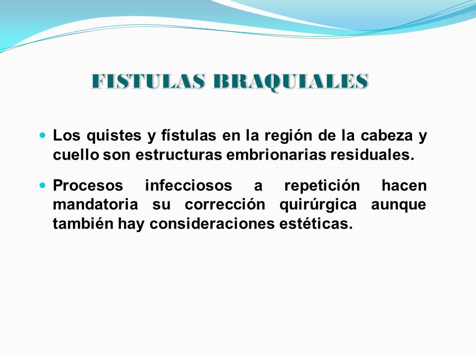 FISTULAS BRAQUIALES Los quistes y fístulas en la región de la cabeza y cuello son estructuras embrionarias residuales.