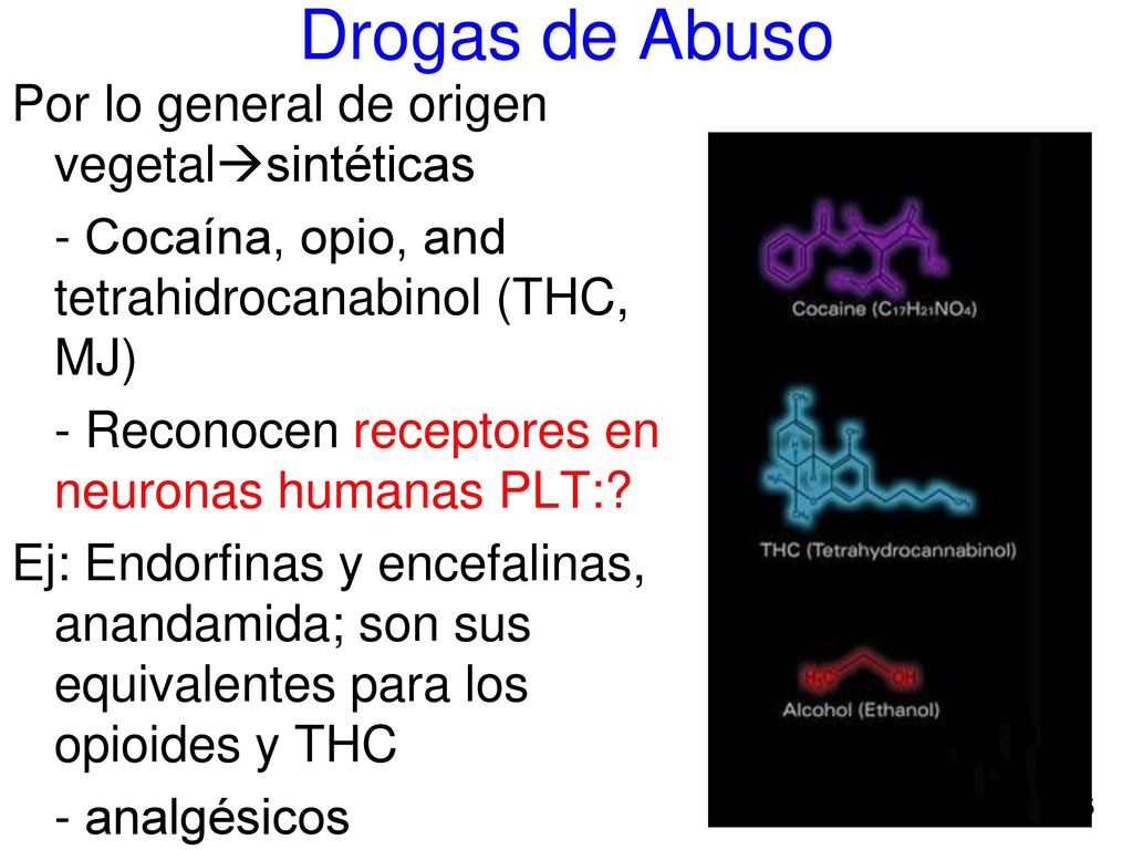 Drogas de Abuso Por lo general de origen vegetalsintéticas