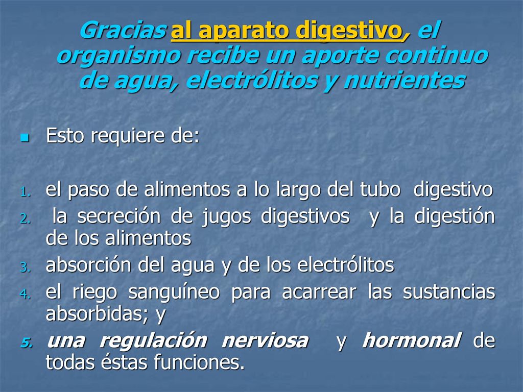 Gracias al aparato digestivo, el organismo recibe un aporte continuo de agua, electrólitos y nutrientes