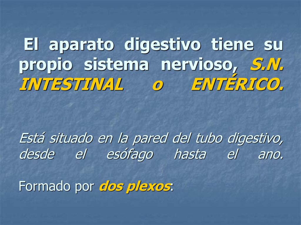 El aparato digestivo tiene su propio sistema nervioso, S. N