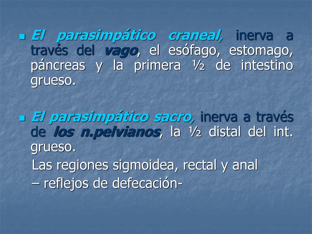 El parasimpático craneal, inerva a través del vago, el esófago, estomago, páncreas y la primera ½ de intestino grueso.