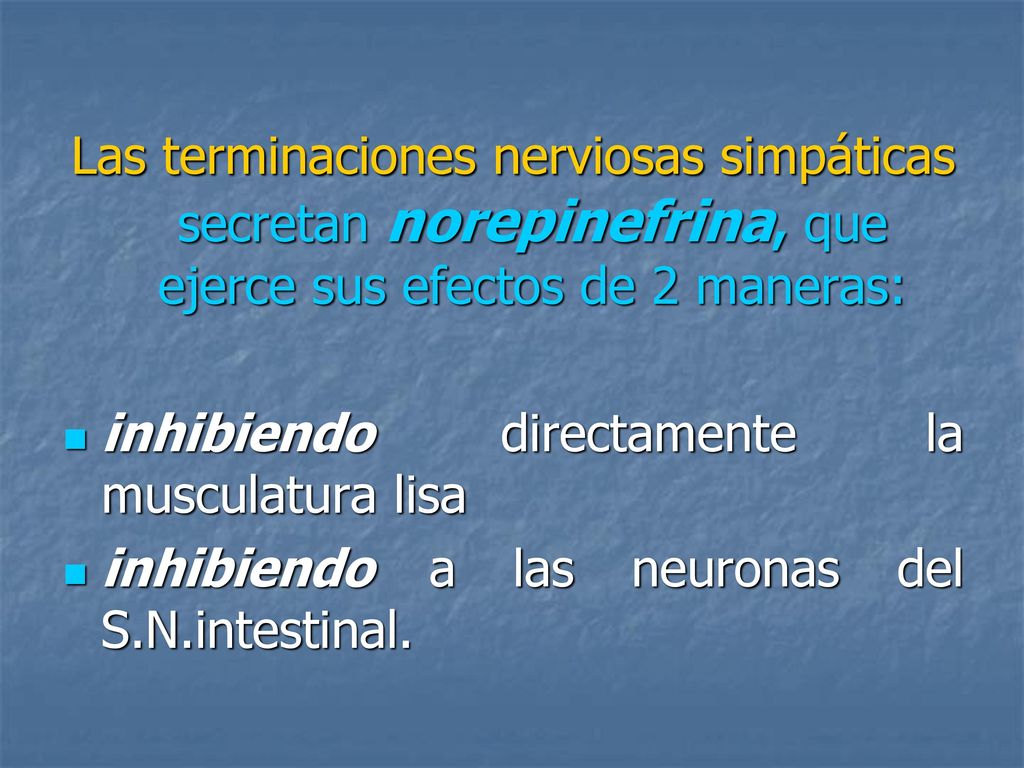 Las terminaciones nerviosas simpáticas secretan norepinefrina, que ejerce sus efectos de 2 maneras: