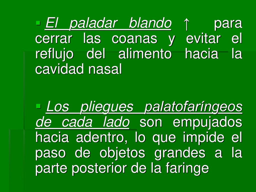 El paladar blando ↑ para cerrar las coanas y evitar el reflujo del alimento hacia la cavidad nasal