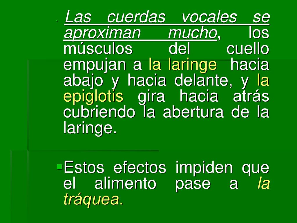 Estos efectos impiden que el alimento pase a la tráquea.