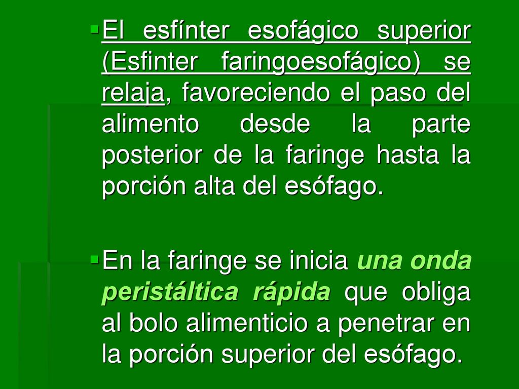 El esfínter esofágico superior (Esfinter faringoesofágico) se relaja, favoreciendo el paso del alimento desde la parte posterior de la faringe hasta la porción alta del esófago.