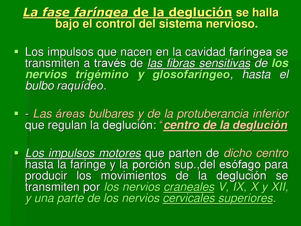 La fase faríngea de la deglución se halla bajo el control del sistema nervioso.