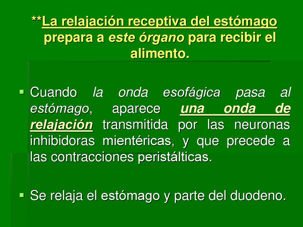 **La relajación receptiva del estómago prepara a este órgano para recibir el alimento.