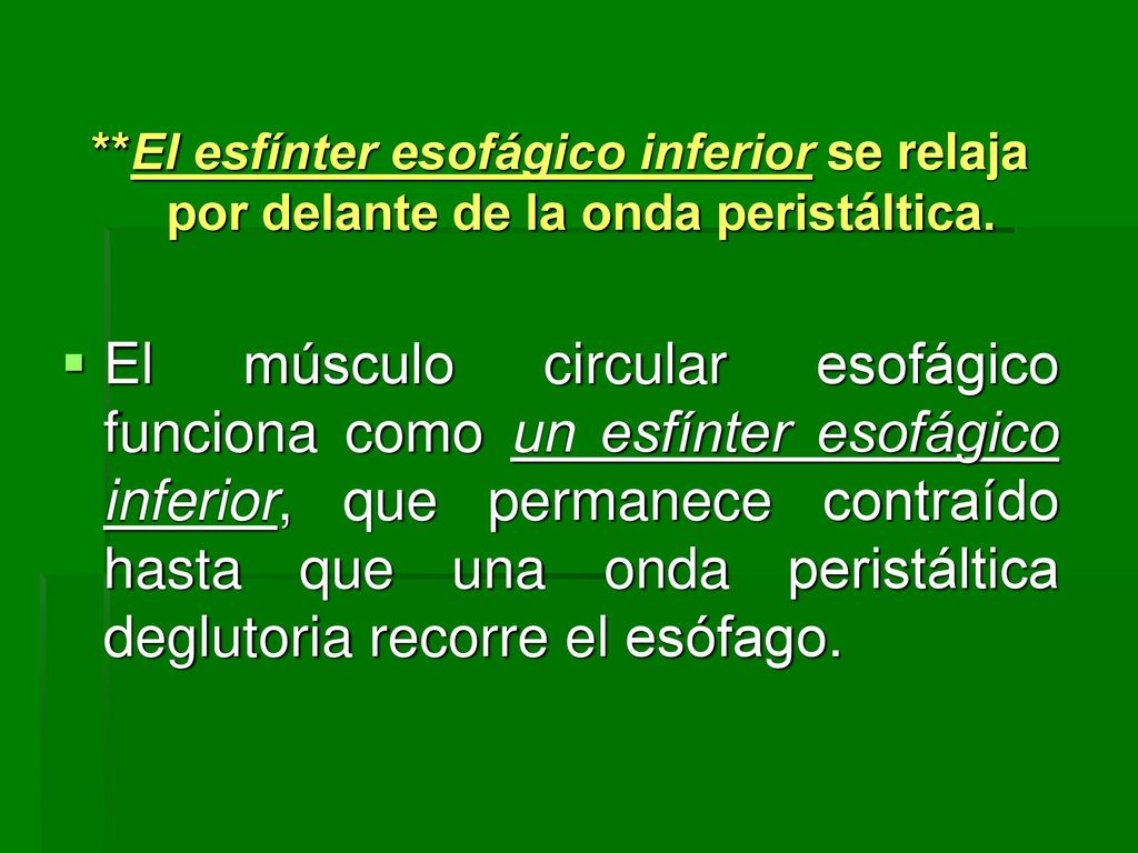 **El esfínter esofágico inferior se relaja por delante de la onda peristáltica.