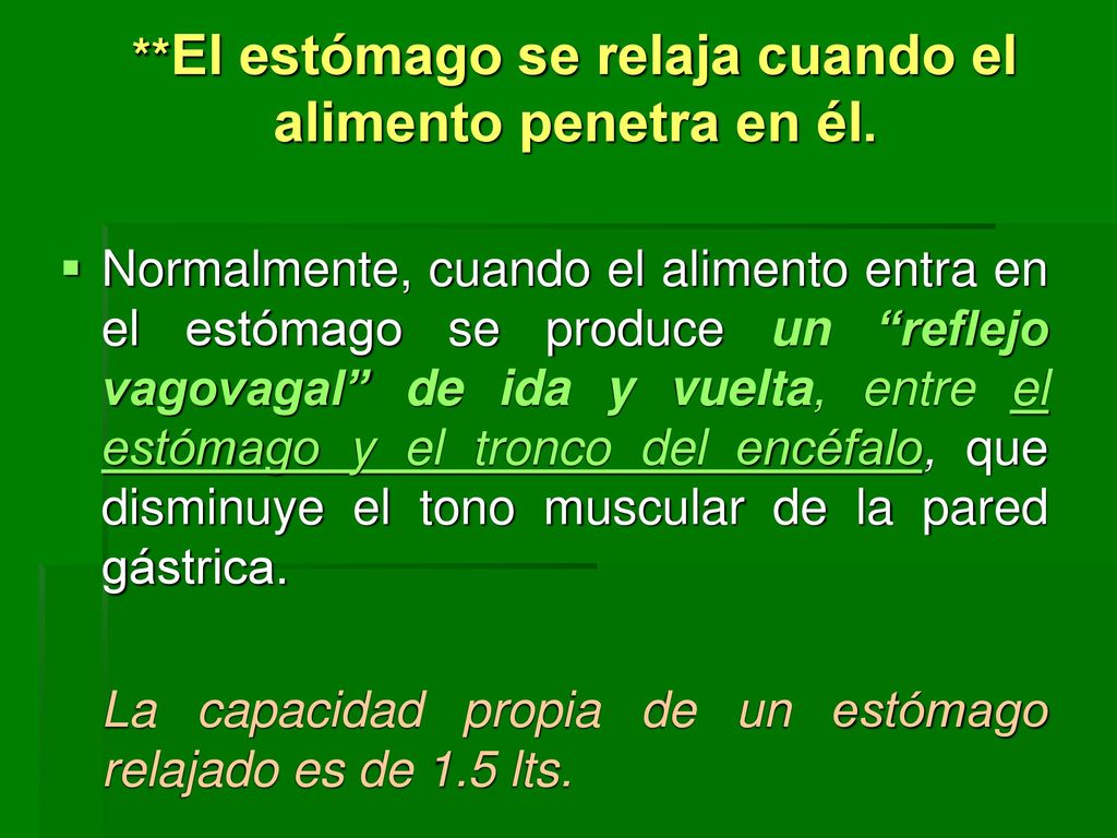 **El estómago se relaja cuando el alimento penetra en él.