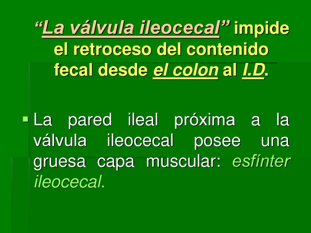 La válvula ileocecal impide el retroceso del contenido fecal desde el colon al I.D.