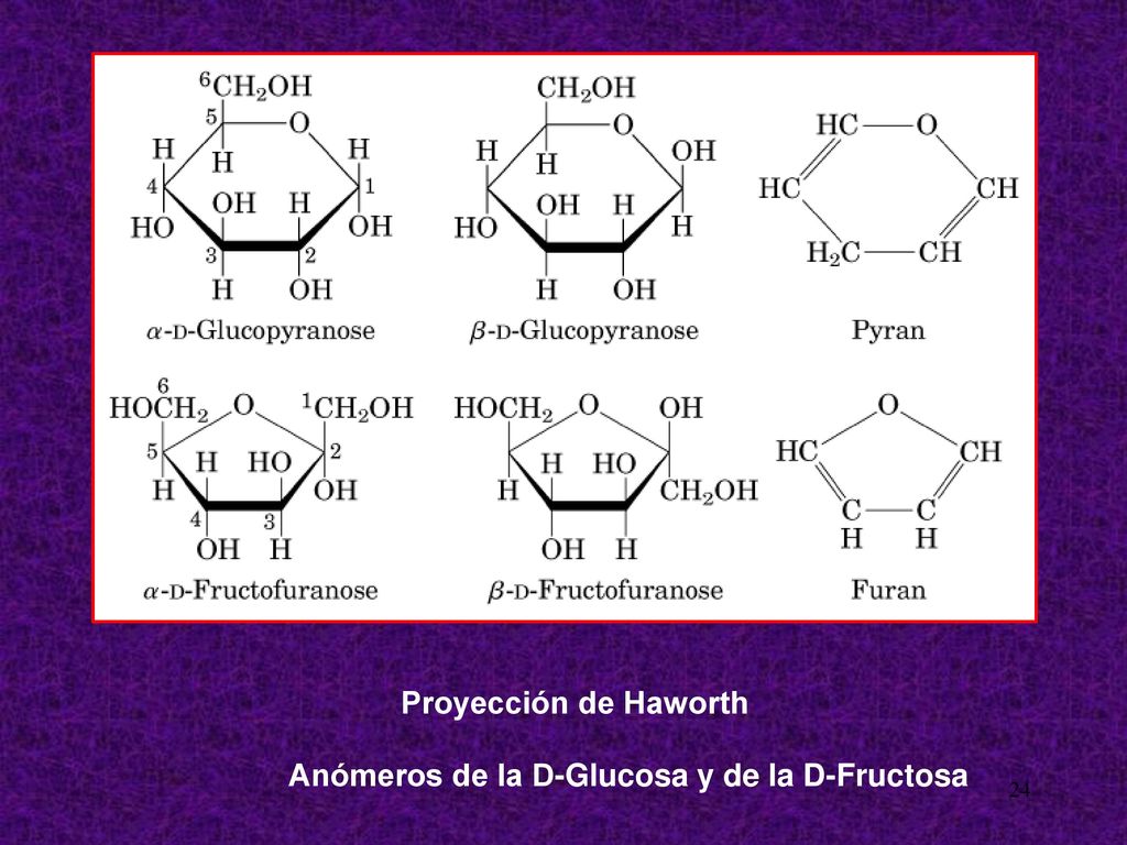 Proyección de Haworth Anómeros de la D-Glucosa y de la D-Fructosa