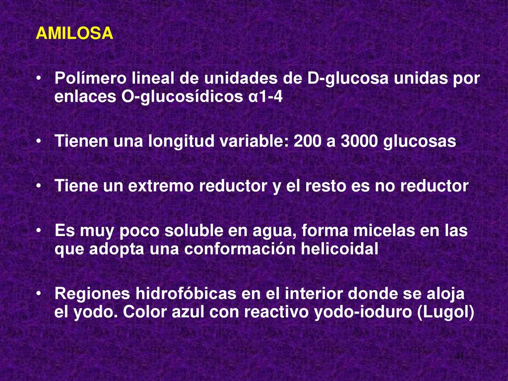 AMILOSA Polímero lineal de unidades de D-glucosa unidas por enlaces O-glucosídicos α1-4. Tienen una longitud variable: 200 a 3000 glucosas.