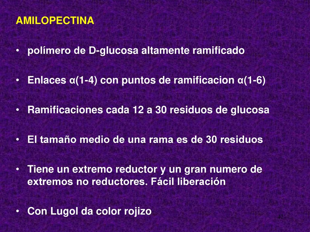 AMILOPECTINA polímero de D-glucosa altamente ramificado. Enlaces α(1-4) con puntos de ramificacion α(1-6)