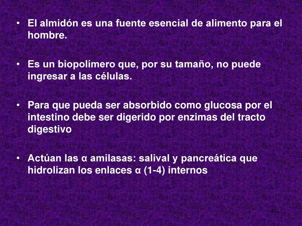 El almidón es una fuente esencial de alimento para el hombre.