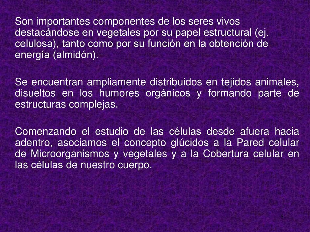 Son importantes componentes de los seres vivos destacándose en vegetales por su papel estructural (ej. celulosa), tanto como por su función en la obtención de energía (almidón).