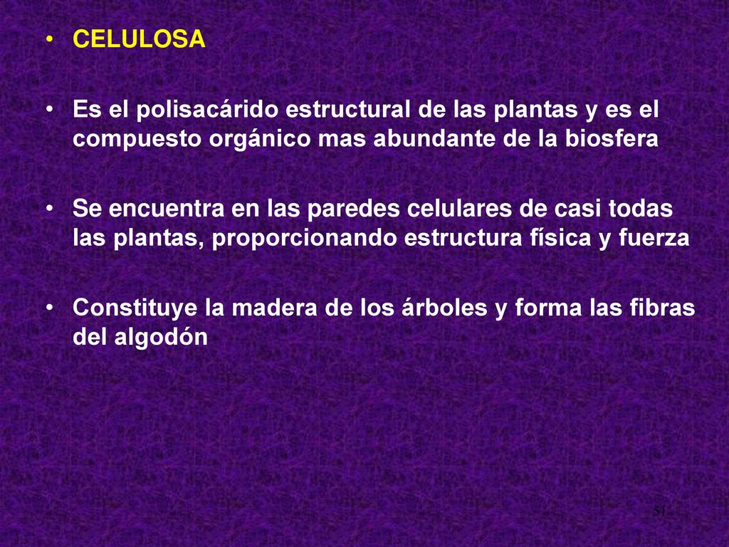 CELULOSA Es el polisacárido estructural de las plantas y es el compuesto orgánico mas abundante de la biosfera.