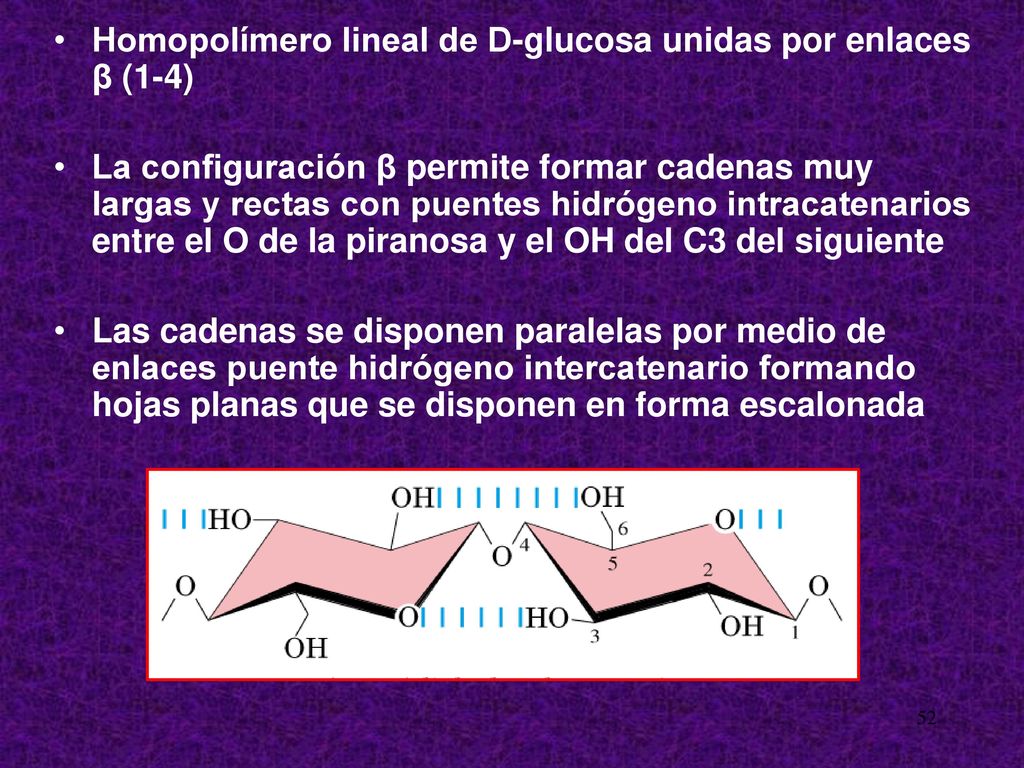 Homopolímero lineal de D-glucosa unidas por enlaces β (1-4)