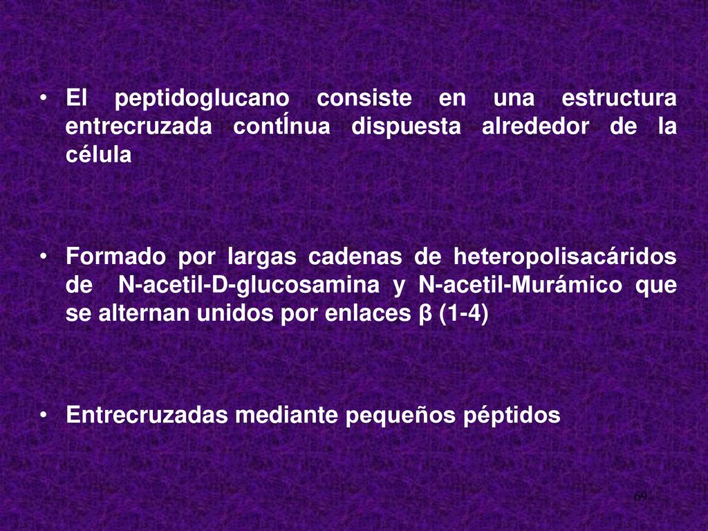 El peptidoglucano consiste en una estructura entrecruzada contÍnua dispuesta alrededor de la célula