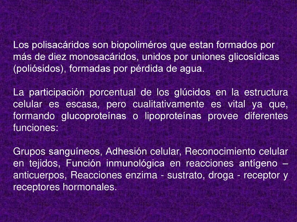 Los polisacáridos son biopoliméros que estan formados por más de diez monosacáridos, unidos por uniones glicosídicas (poliósidos), formadas por pérdida de agua.