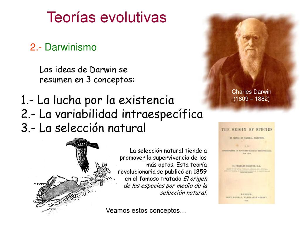Teorías evolutivas 1.- La lucha por la existencia