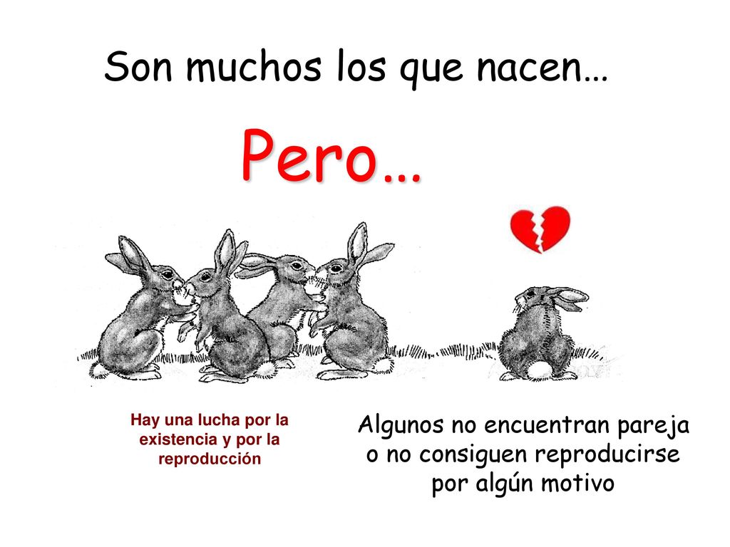 Hay una lucha por la existencia y por la reproducción