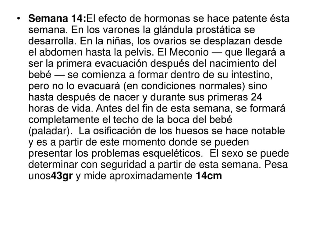 Semana 14:El efecto de hormonas se hace patente ésta semana
