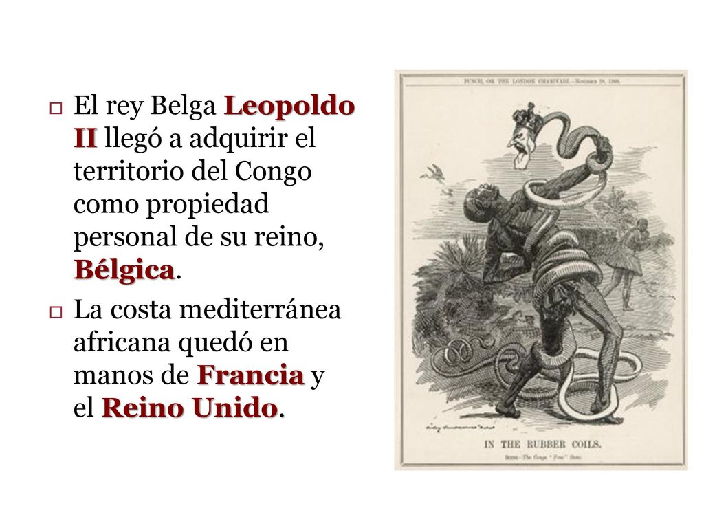 El rey Belga Leopoldo II llegó a adquirir el territorio del Congo como propiedad personal de su reino, Bélgica.