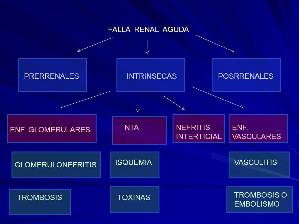 FALLA RENAL AGUDA PRERRENALES. INTRINSECAS. POSRRENALES. NTA. NEFRITIS INTERTICIAL. ENF. VASCULARES.
