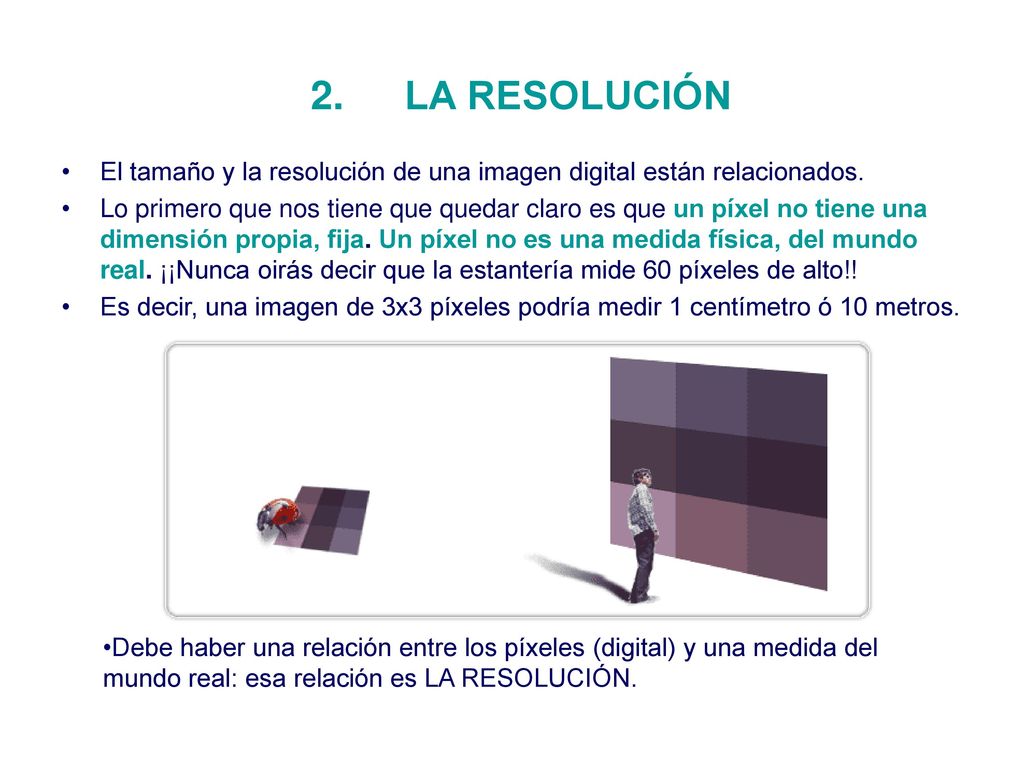 LA RESOLUCIÓN El tamaño y la resolución de una imagen digital están relacionados.