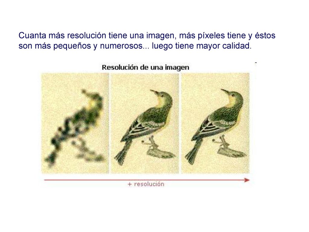 Cuanta más resolución tiene una imagen, más píxeles tiene y éstos son más pequeños y numerosos...
