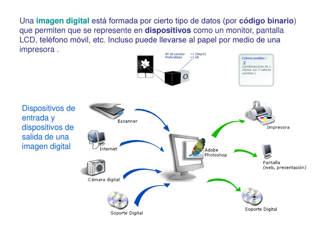 Una imagen digital está formada por cierto tipo de datos (por código binario) que permiten que se represente en dispositivos como un monitor, pantalla LCD, teléfono móvil, etc. Incluso puede llevarse al papel por medio de una impresora .