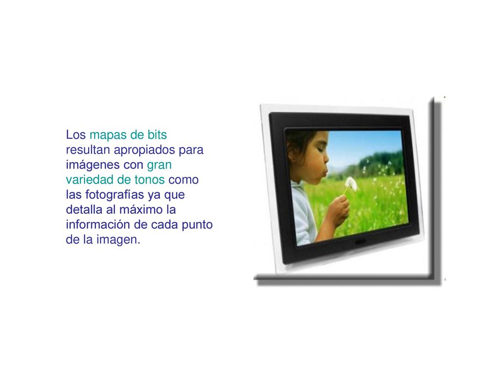 Los mapas de bits resultan apropiados para imágenes con gran variedad de tonos como las fotografías ya que detalla al máximo la información de cada punto de la imagen.