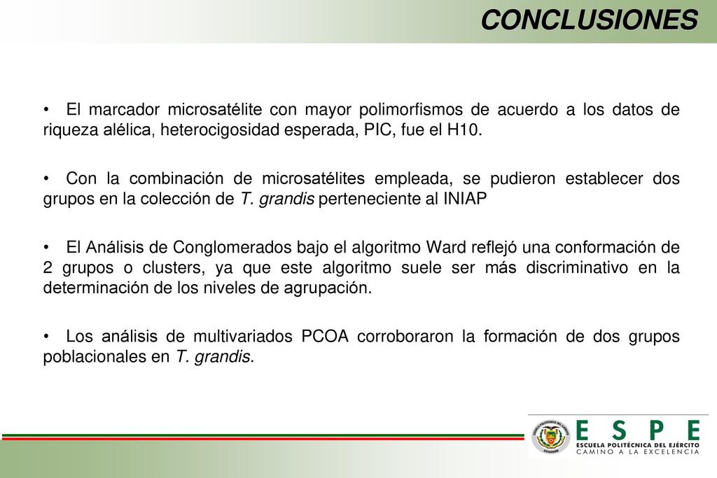 CONCLUSIONES El marcador microsatélite con mayor polimorfismos de acuerdo a los datos de riqueza alélica, heterocigosidad esperada, PIC, fue el H10.