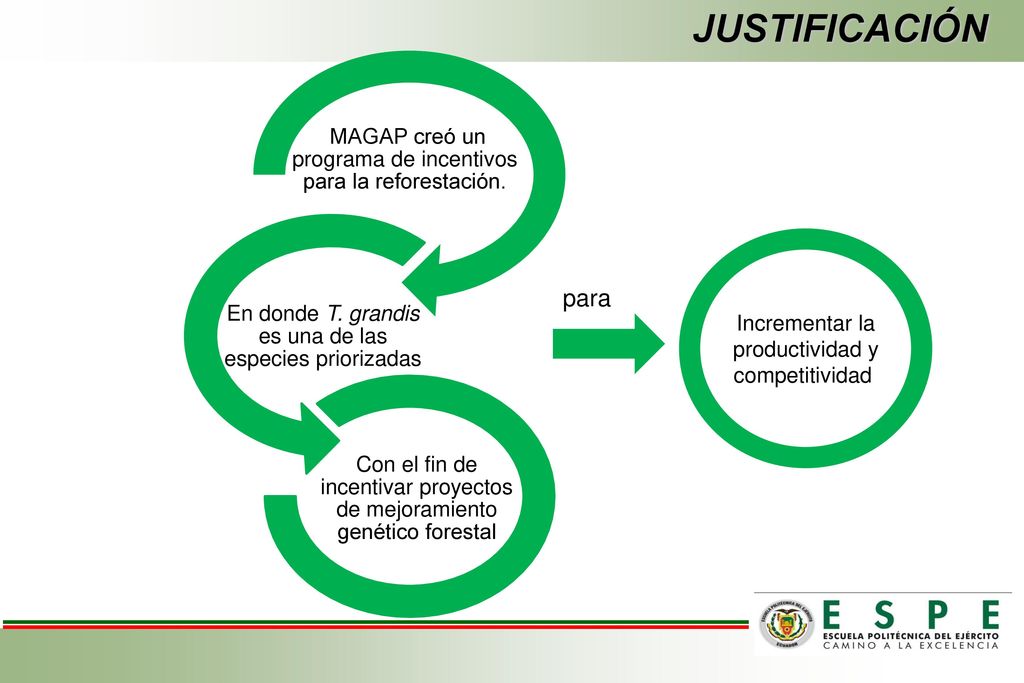 JUSTIFICACIÓN MAGAP creó un programa de incentivos para la reforestación. En donde T. grandis es una de las especies priorizadas.
