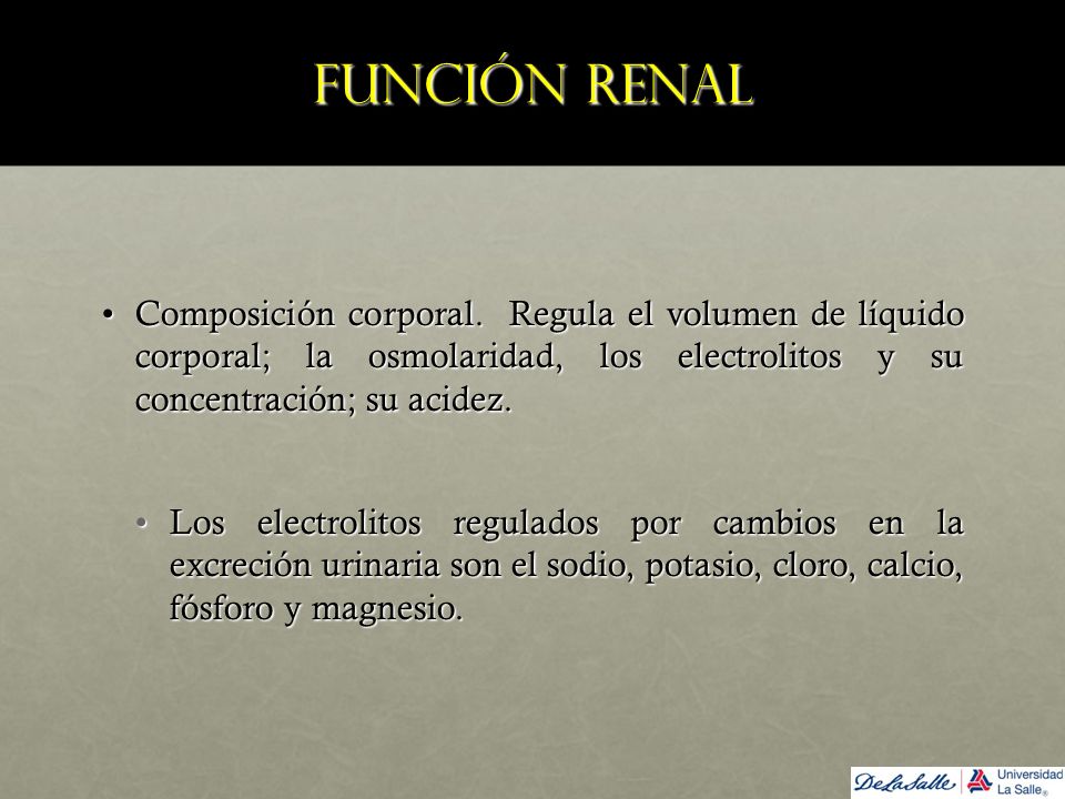 Función renal Composición corporal. Regula el volumen de líquido corporal; la osmolaridad, los electrolitos y su concentración; su acidez.