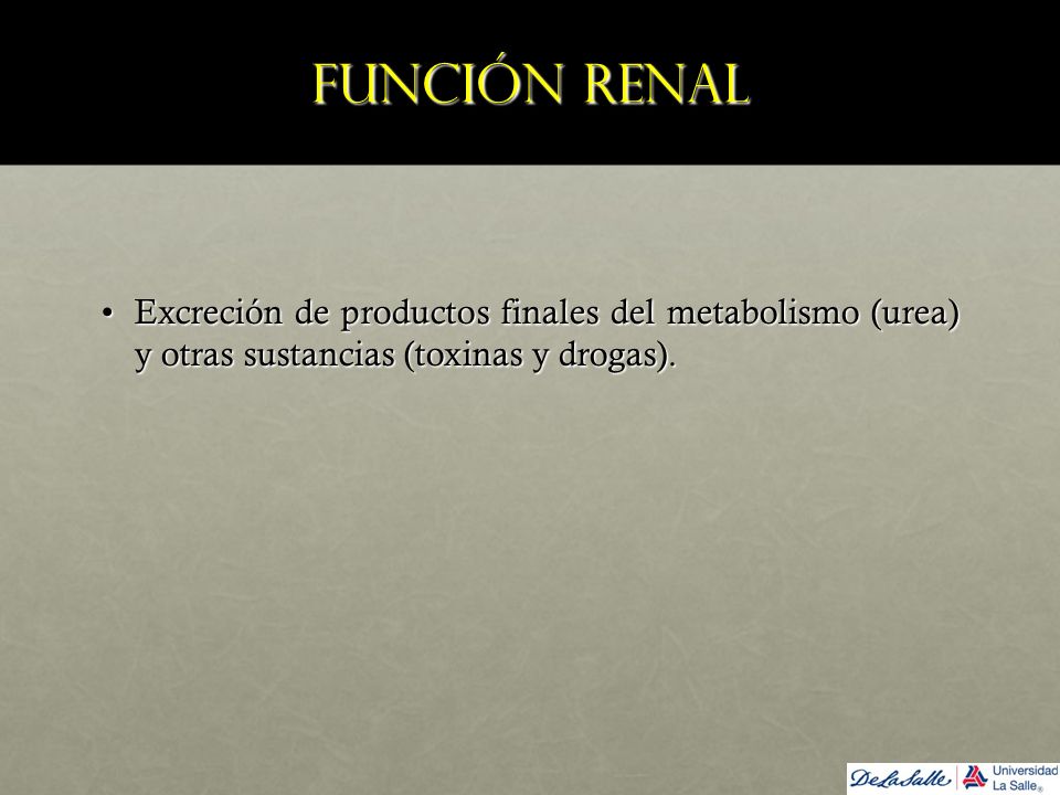 Función renal Excreción de productos finales del metabolismo (urea) y otras sustancias (toxinas y drogas).
