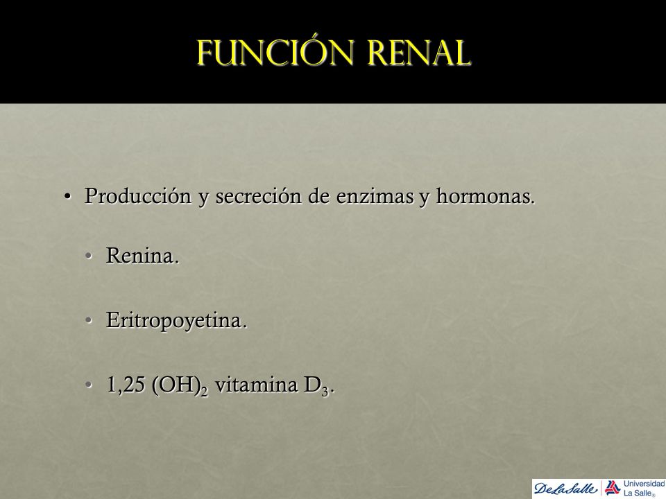 Función renal Producción y secreción de enzimas y hormonas. Renina.