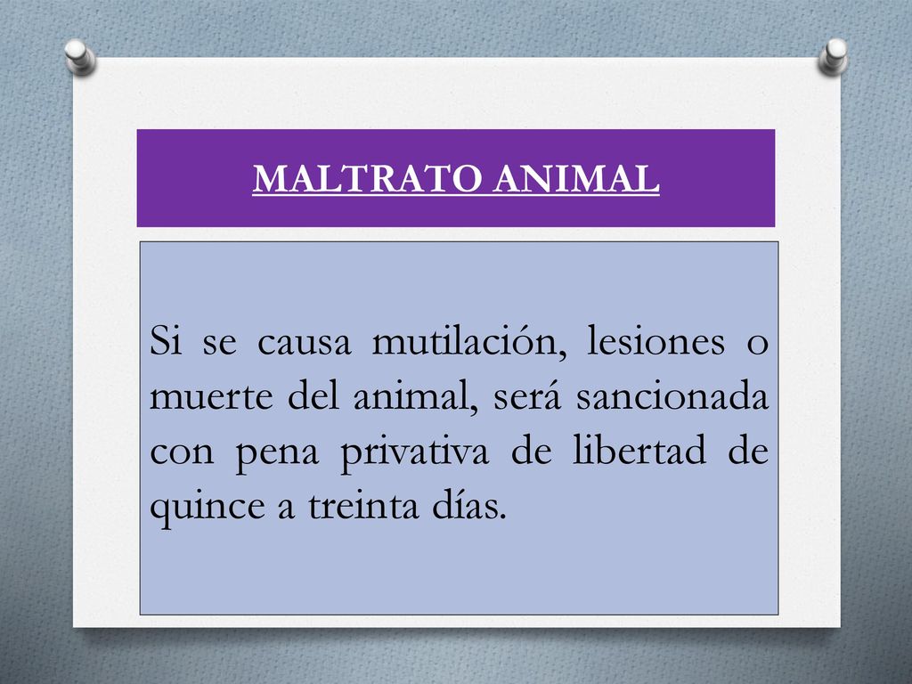 MALTRATO ANIMAL Si se causa mutilación, lesiones o muerte del animal, será sancionada con pena privativa de libertad de quince a treinta días.