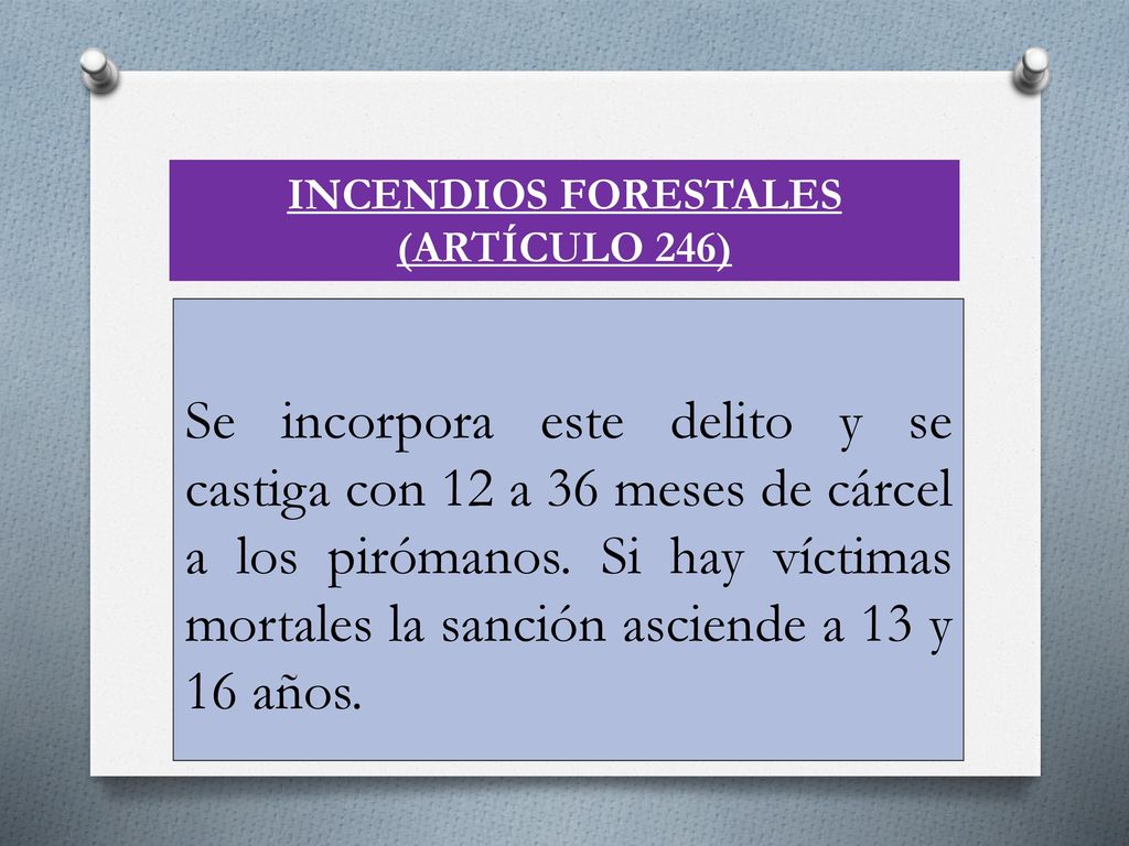 INCENDIOS FORESTALES (ARTÍCULO 246)