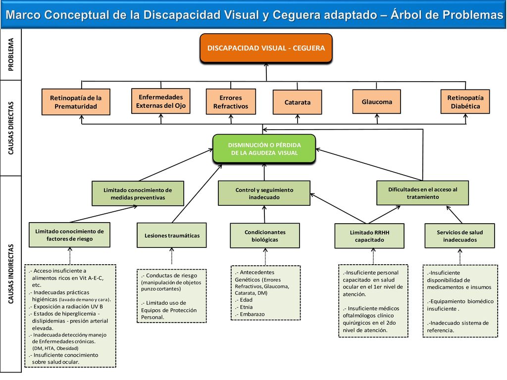 Marco Conceptual de la Discapacidad Visual y Ceguera adaptado – Árbol de Problemas
