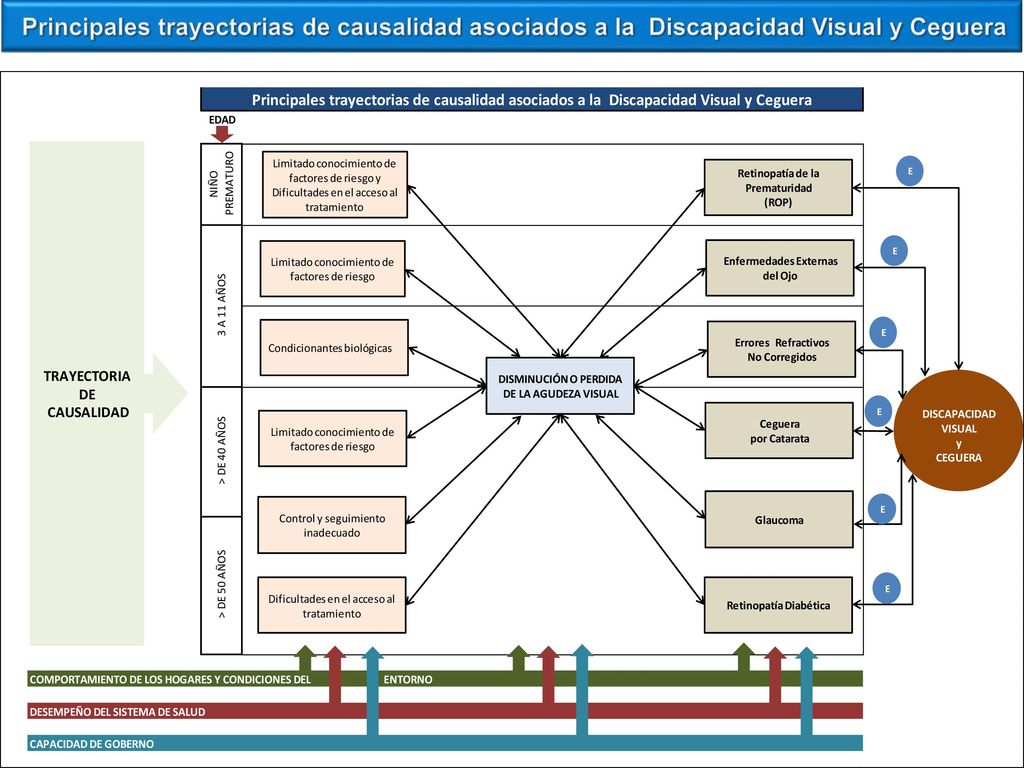 Principales trayectorias de causalidad asociados a la Discapacidad Visual y Ceguera