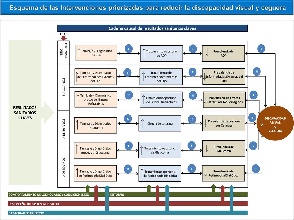 Esquema de las Intervenciones priorizadas para reducir la discapacidad visual y ceguera