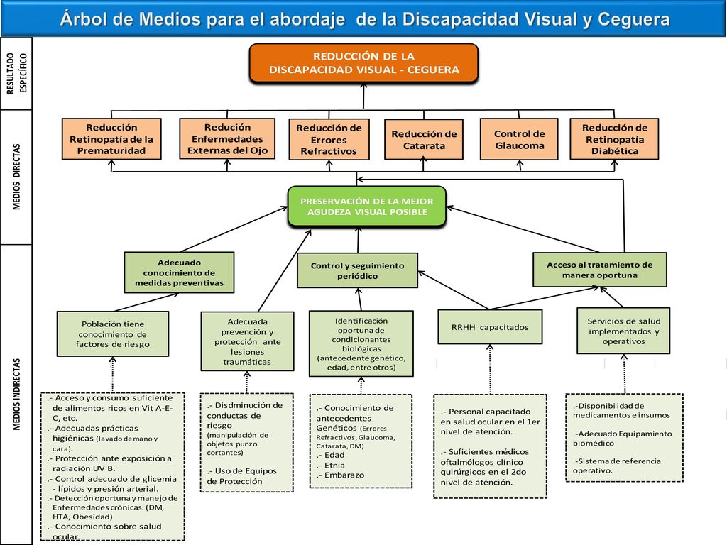 Árbol de Medios para el abordaje de la Discapacidad Visual y Ceguera