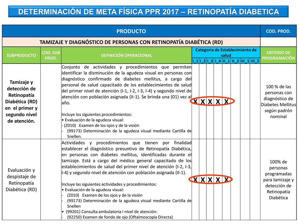 X DETERMINACIÓN DE META FÍSICA PPR 2017 – RETINOPATÍA DIABETICA