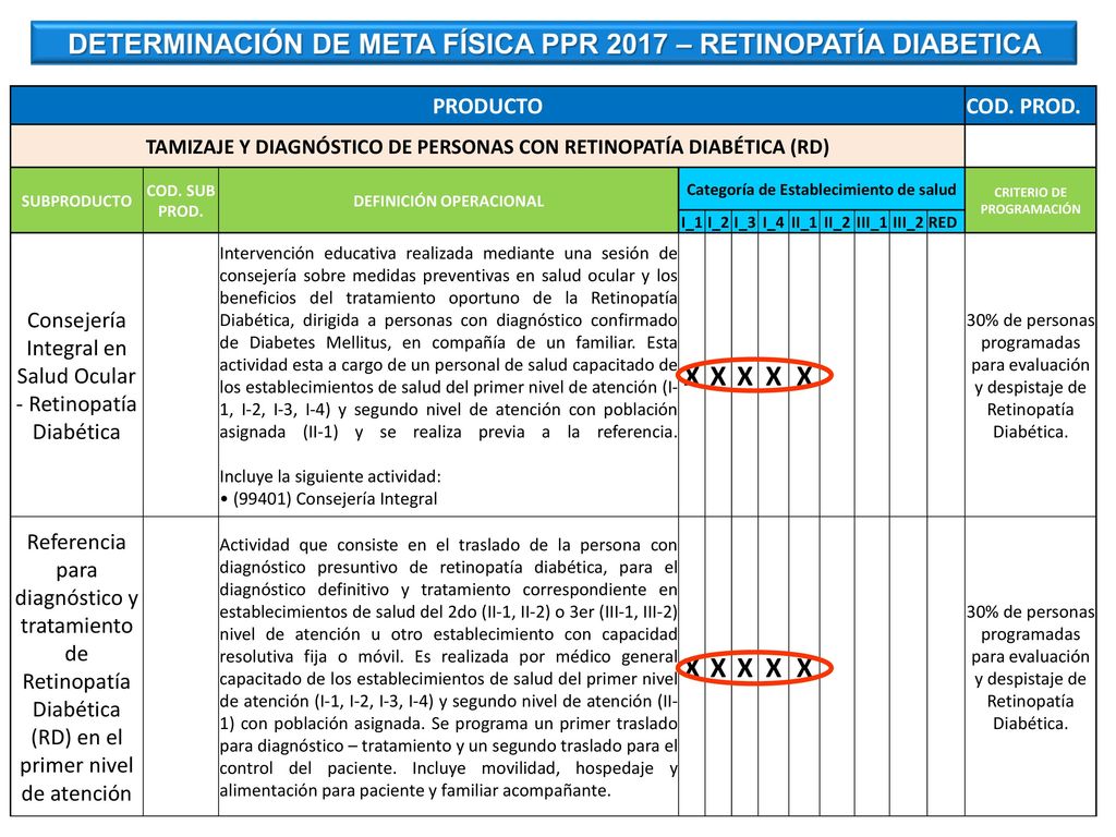 X DETERMINACIÓN DE META FÍSICA PPR 2017 – RETINOPATÍA DIABETICA