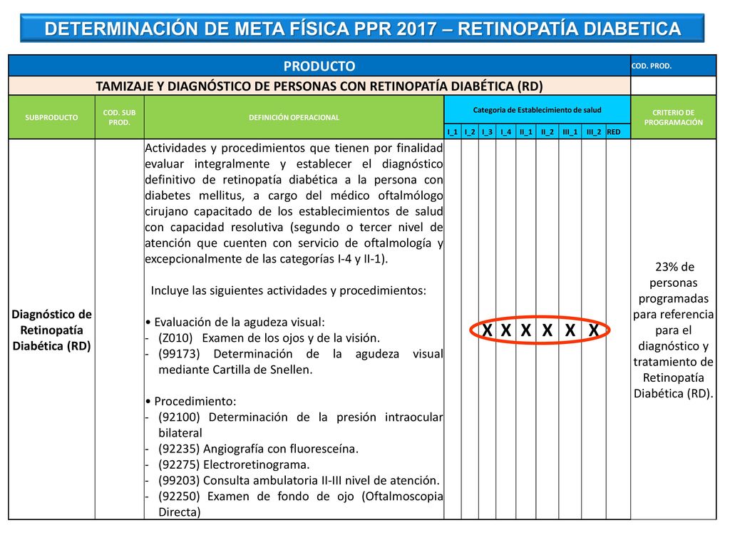 X DETERMINACIÓN DE META FÍSICA PPR 2017 – RETINOPATÍA DIABETICA